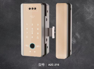 3D人脸识别玻璃门锁